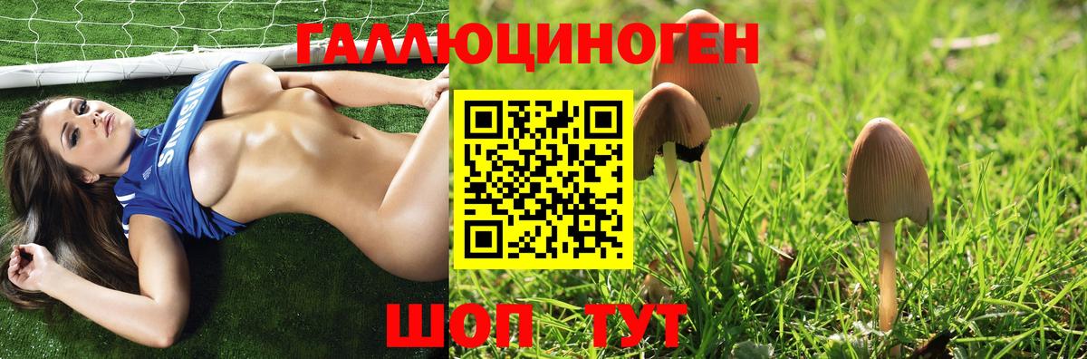 Ливны  Галлюциногенные грибы MAGIC MUSHROOMS  Вход с VPN 